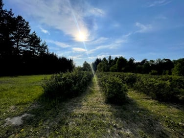 Działka budowlana Podkampinos sprzedam