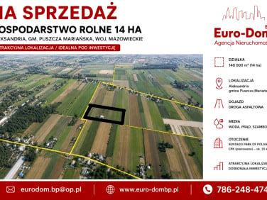 Działka rolna Aleksandria