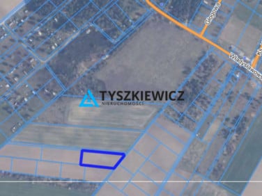 Działka przy lesie