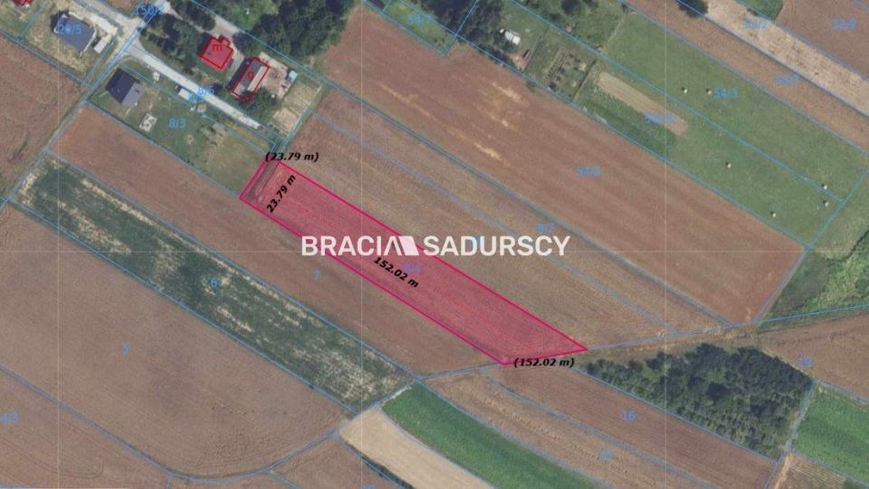 Zdjęcie 2