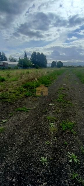 Działka budowlana Dzierżoniów sprzedam