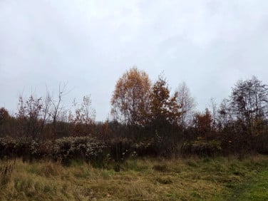 Działka budowlana Mogilany