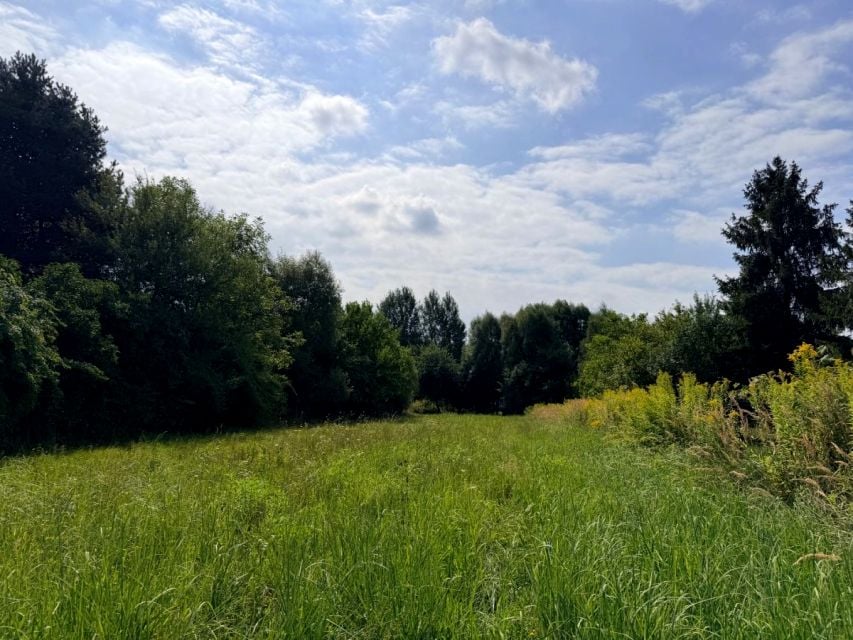 Zdjęcie 2