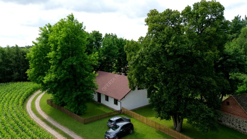 Zdjęcie 3