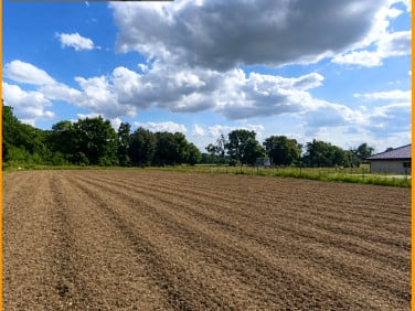 Działka Węgrowo