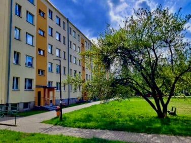 Mieszkanie Jelenia Góra