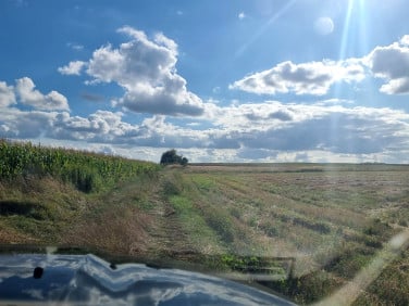 Działka rolna Zawonia