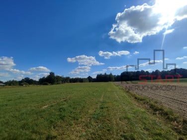 Działka siedliskowa Aleksandria