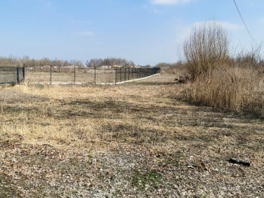 Działka Nysa