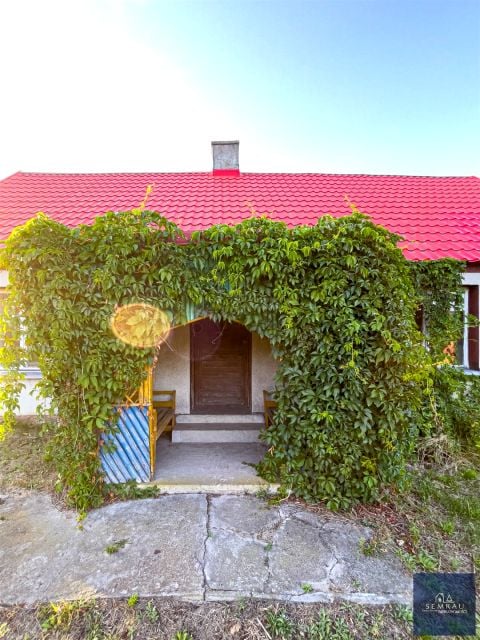 Zdjęcie 3
