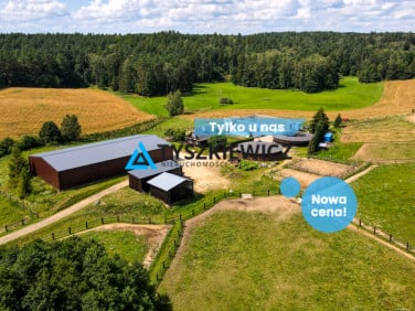 Lokal Goszyn