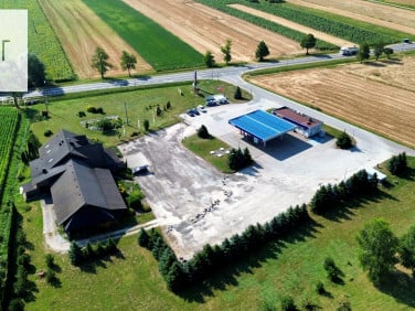 Lokal Rogów