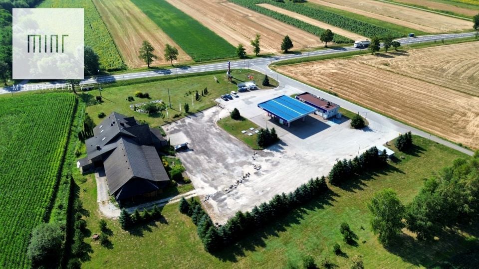 Lokal Rogów
