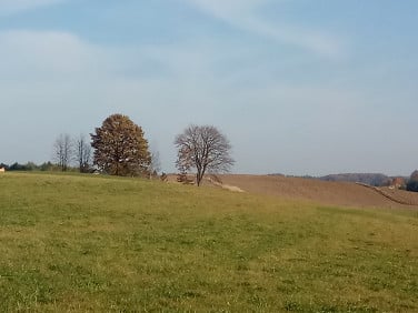 Działka budowlana Sikorzyno