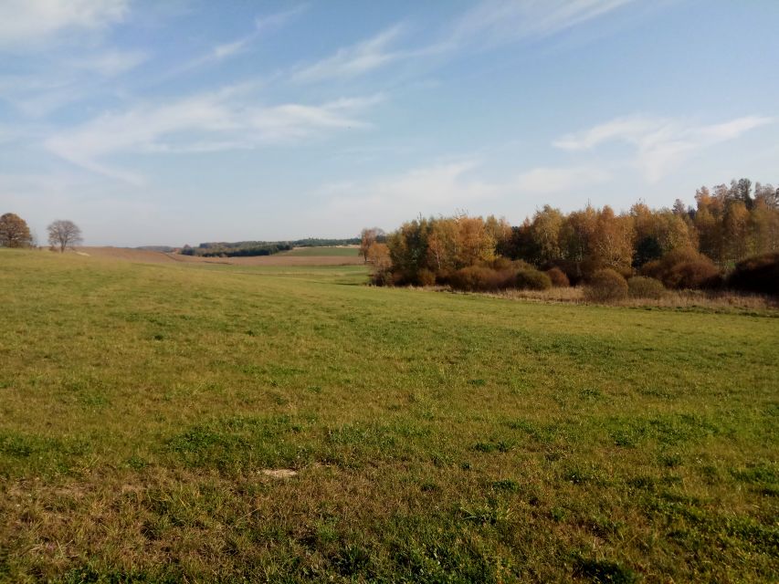 Zdjęcie 2