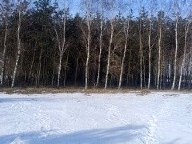 Działka Szczutowo