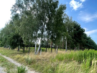 Działka budowlana Wancerzów sprzedam