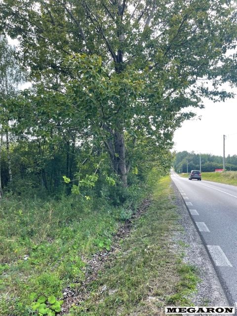 Działka rolna Wancerzów