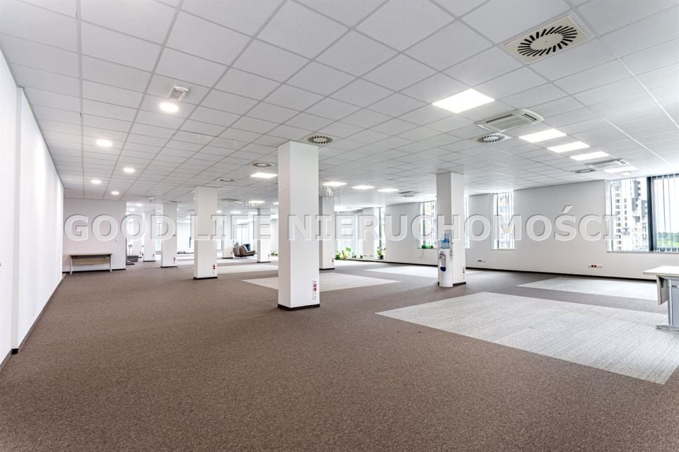 Lokal Rzeszów