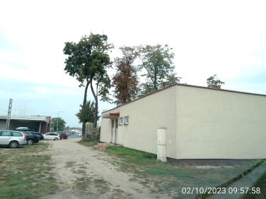 Lokal Ciechanów