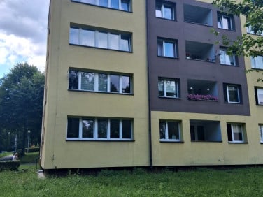 Mieszkanie Mikołów sprzedaż