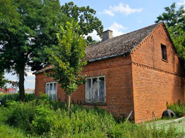 Dom Owieczki