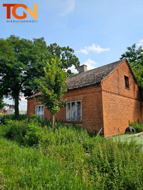 Dom Owieczki