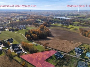 Działka budowlana Gogołowa