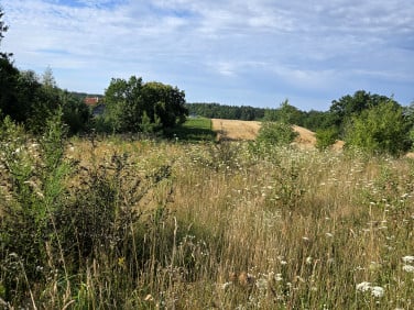 Działka budowlana Skrzeszewo