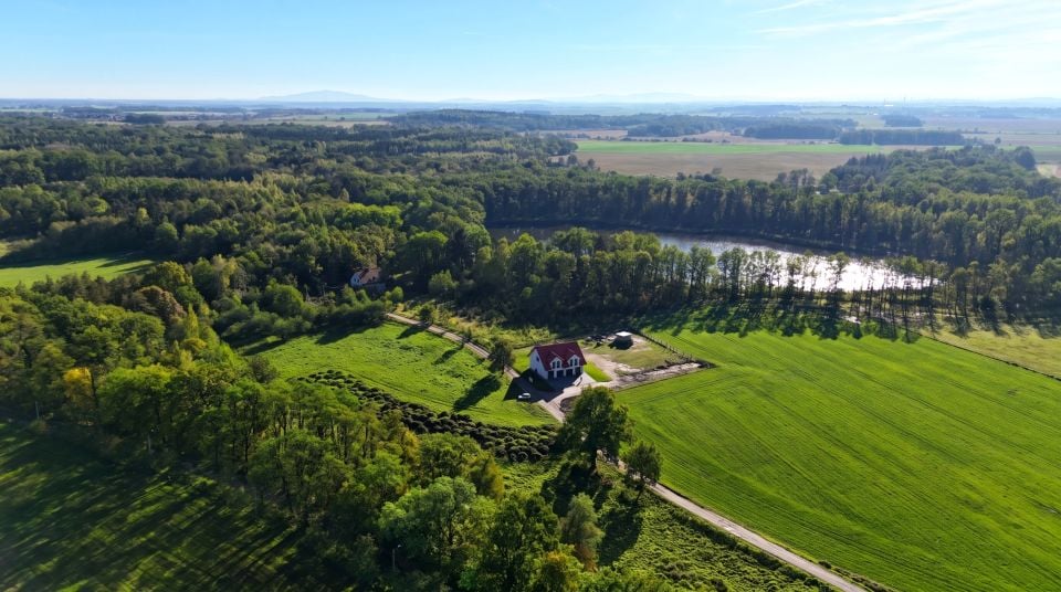 Dom Wilczków