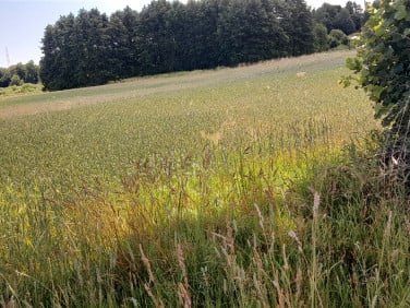 Działka Leżajsk