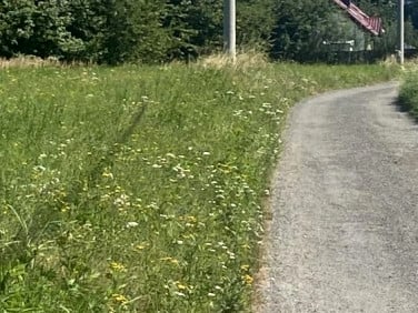 Działka Rybna