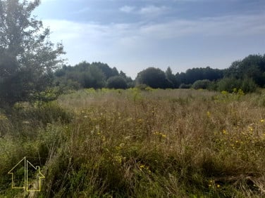 Działka Wasilków