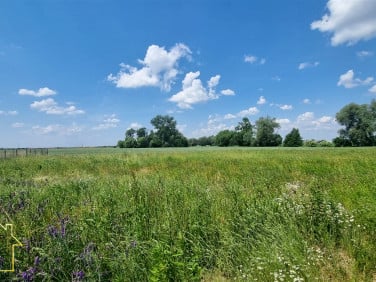 Działka budowlana Radzanowo