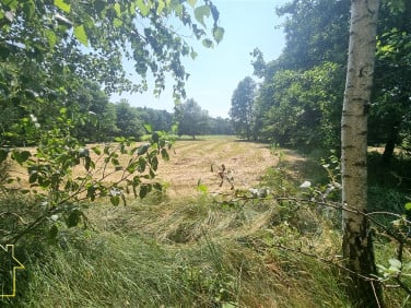 Działka rolna Słupno