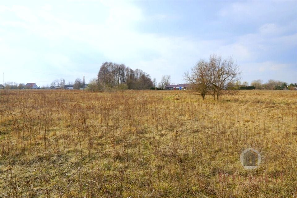Działka budowlana Deszczno