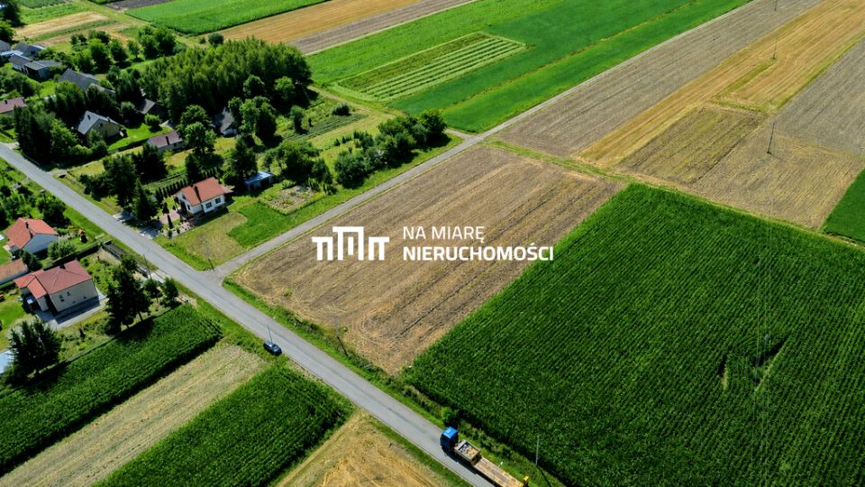 Zdjęcie 2