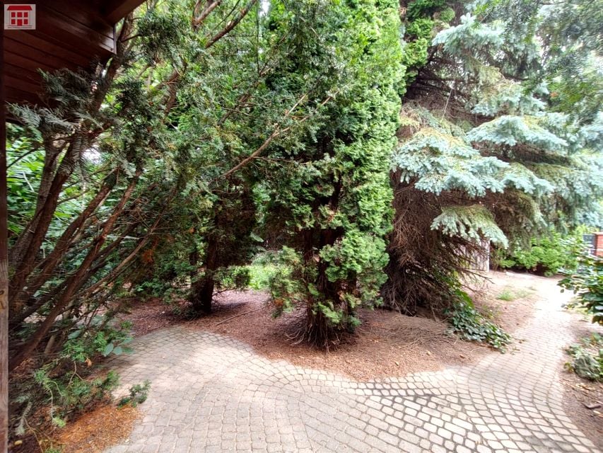Zdjęcie 2