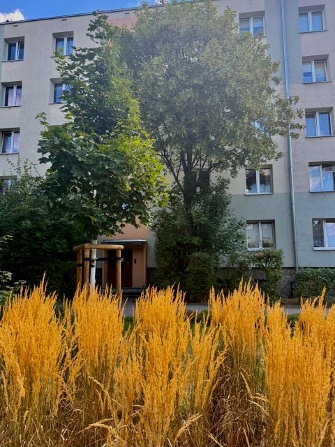 Mieszkanie Wrocław