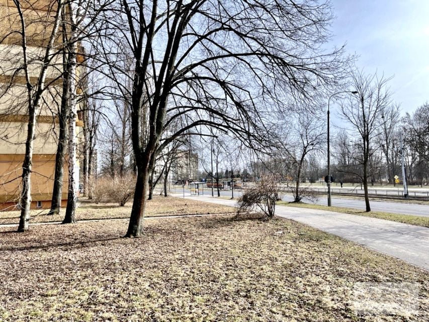 Zdjęcie 3