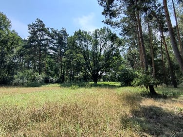 Działka budowlana Jabłonna