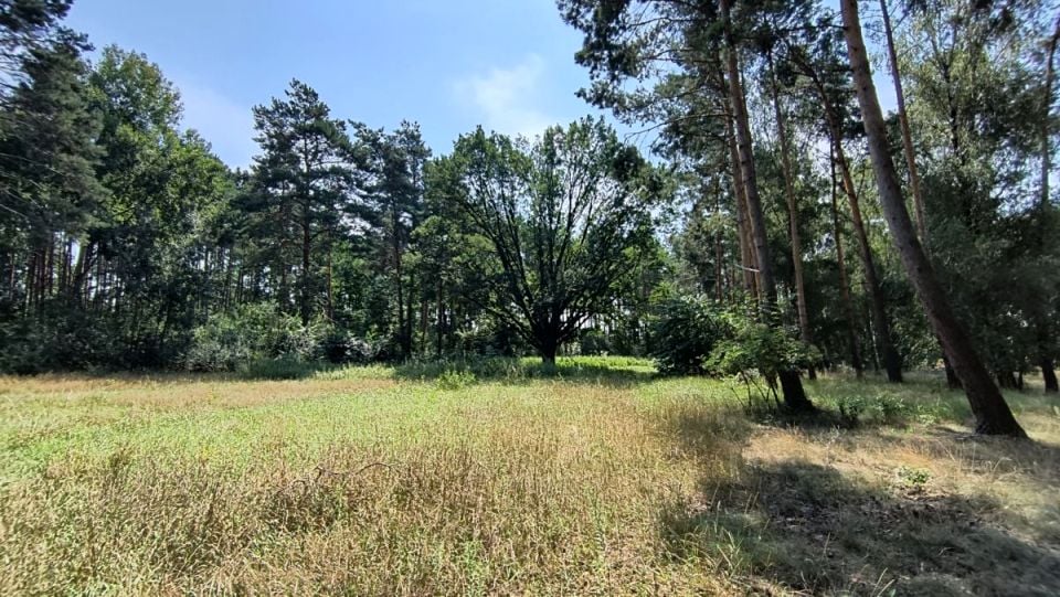 Działka budowlana Jabłonna