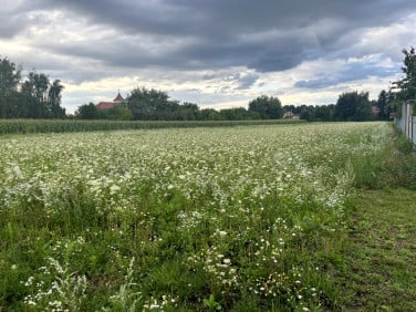 Działka Zwoleń