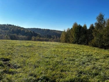 Działka Dynów