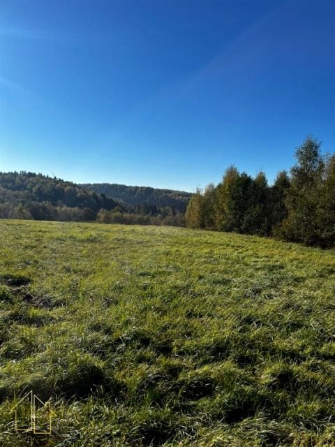 Działka Dynów