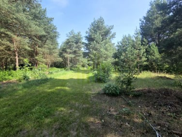 Działka Bartoszówka