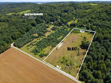 Działka inna Złoty Potok