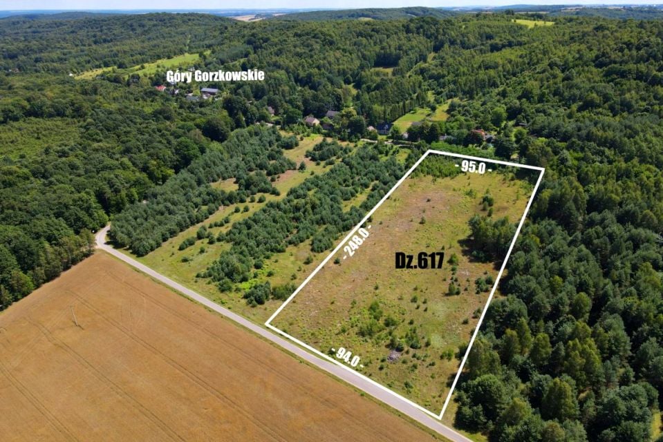 Działka inna Złoty Potok