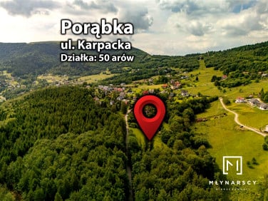 Działka przy lesie