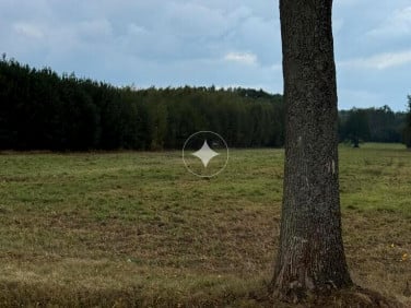 Działka budowlano-rolna Bronów